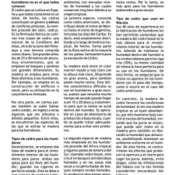 Página 3 Wacota Latino Aficionado