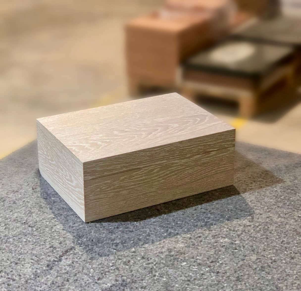 Exquisito humidor model
