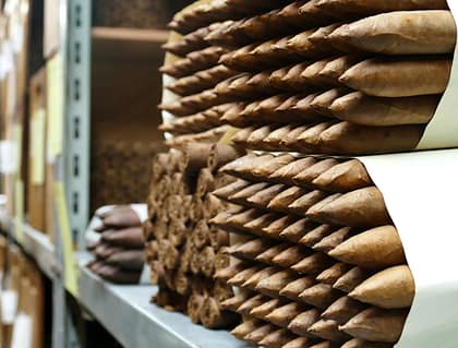 Cigarros en el aging room