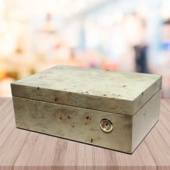 Exquisito humidor model root finish