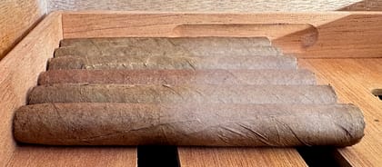 Mould on cigars