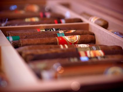 Vista de cigarros en un humidor modelo Hors D,Age