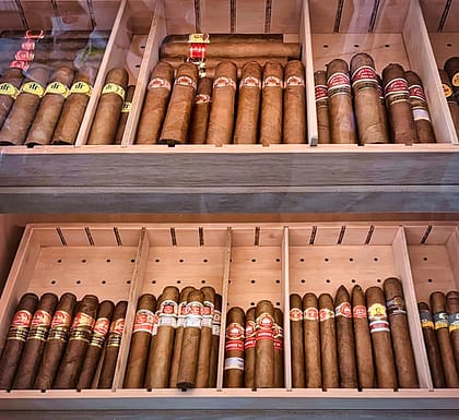 el cedro madera ideal para los cigarros